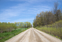 Rural Dirt Road Through Wetlands In Ontario On A Sunny Spring Day With Blue Sky