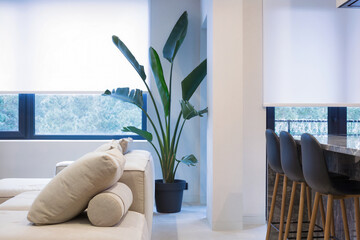 Leinwandbilder - Roller blinds in the interior. Roller shades white color on the windows in the living room. A houseplant and a sofa are in the room. Motorized curtains in the smart home. 