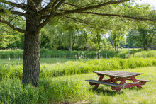 A Red Picnic Table Under A Pine Tree Along A Quiet Pond In The Summer.