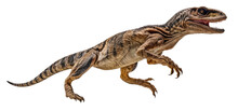 Velociraptor On Transparent Background, PNG