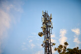 Fototapeta  - 5G transmitter mast against the blue sky between the trees