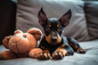 Plush toy - Cute Animal Toy - Dobermann - Generative AI
