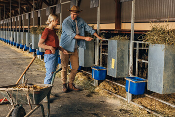 Wall Mural - A man and a woman work at the animal farm.