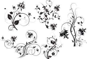 Wall Mural - Floral illustration. Can be used for design.