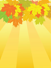 Sticker - vector autumn leaves