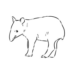 Wall Mural - Tapir animal sketch engraving vector illustration. Scratch board style imitation. Hand drawn image.