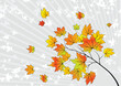 © Designpics - Abstract autumn background, vector illustration