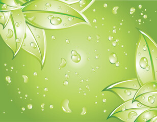 Poster - Leaves Background with water drops background