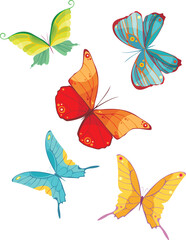 Wall Mural - vector illustration of a beautiful butterfly