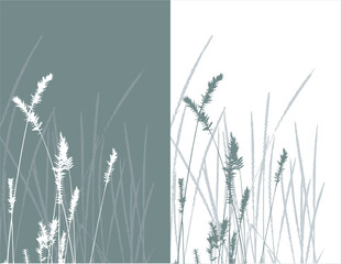 Wall Mural - real grass  silhouette / vector /  2 colors