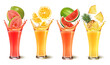 Set of fruit juice splash in a glasses. Orange, pineapple and watermelon and papaya. Vector
