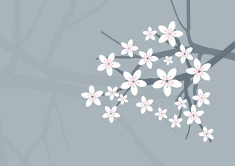 Canvas Print - Vector Cherry Blossom Background