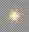 Vector transparent sunburst design. Sun rays template for your illustration.
