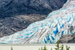 Mendhall Glacier Alaska