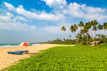 Poster - Shinagawa Beach in Sri Lanka