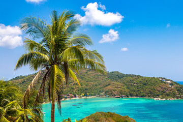 Poster - Aerial view of Koh Tao island,