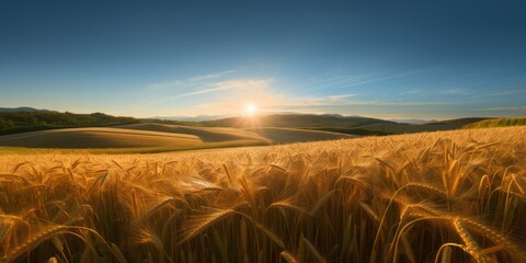 Field of golden wheat against the background of hills and the morning sun in the sky with clouds. AI  generation 