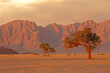 canvas print picture Namib desert landscape at sunset with rugged mountains and thorn trees, Namibia.