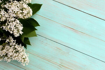 Wall Mural - White beautiful lilac branches lie on a green wooden surface with space for text.