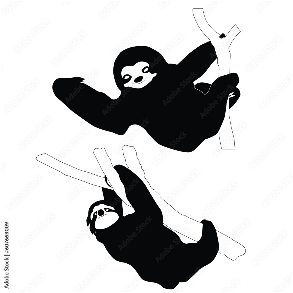 There are two main species of sloths: two-toed sloths and three-toed ...