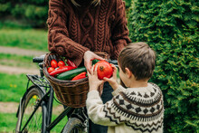 Mother Giving Pomegranate To Son From Bicycle Basket In Garden