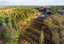 Aerial View Of Trees And Open Strip With Small Pond In Forestry Hardenberg, Rheeze, Vechtdal, Overijssel, Netherlands.