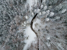 Aerial View Of A Road Crossing The Forest With Pine Trees In Winter With Snow, Bavaria, Germany.