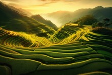 Beautiful scenery of terraced rice fields at sunset. Generative AI