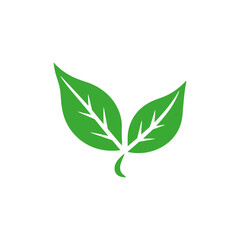 Wall Mural - sprout logo. nature ecology element. vector illustration