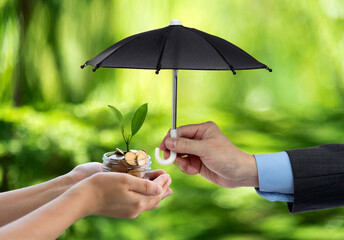 Wall Mural - Toy umbrella covering green plant