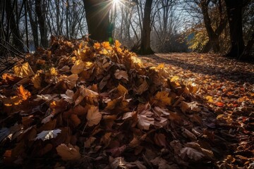 Poster - a pile of fallen leaves, with the sunlight shining through them, created with generative ai