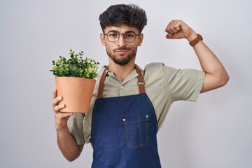 Sticker - Arab man with beard holding green plant pot strong person showing arm muscle, confident and proud of power