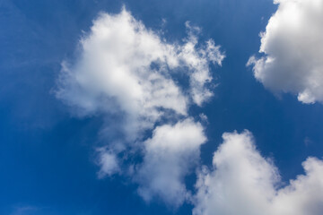 Wall Mural - look up zenit blue sky with cumulus clouds