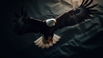 Wall Mural - eagle in the hand HD 8K wallpaper Stock Photography Photo Image