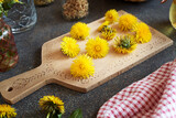 Fototapeta Dmuchawce - Fresh dandelion flowers on a table