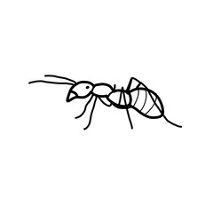 Wall Mural - ant insect animal hand drawn doodle