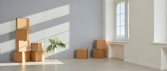 New house or apartment on moving day. Empty room with white and light gray walls, cardboard boxes, plastic windows, green plant, and laminate flooring. Banner background. Real estate concept