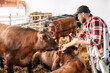 © Barillo_Images - Livestock breeder using digital tablet during the check at cattle farm, cows and farmer.