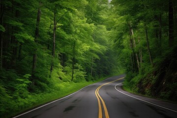 Canvas Print - scenic highway surrounded by lush, green forests, created with generative ai