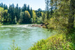 Snoqualmie River And Trees