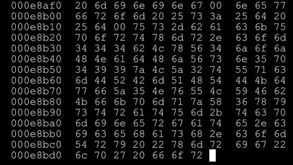Data set. White rows of digital information run fast against a black background.