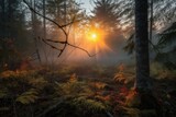 Fototapeta Na ścianę - sunrise, with mist rising from the forest floor, created with generative ai
