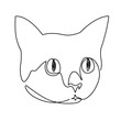 Minimalistic vector illustration of a cat's head with a hilariously expressive face, created using a single continuous line.