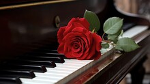 Close Up Red Rose On Piano Keyboard, Idea For Classic Romantic Music Background, Generative Ai