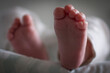 © Zoltan - baby feet 1