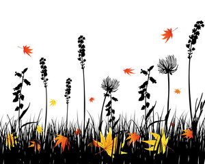 Poster - Vector grass silhouettes background. All objects are separated.