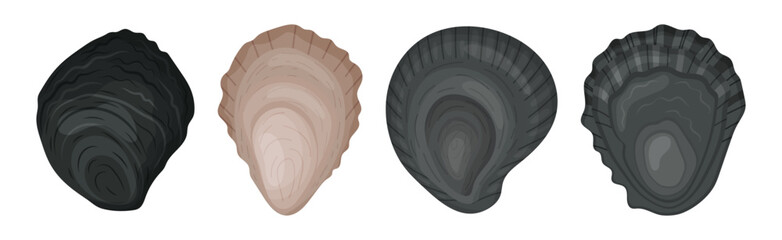 Sticker - Oyster as Salt-water Bivalve Molluscs and Marine Delicacy Vector Set