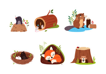 Sticker - Forest Animal in Their Cozy Home and Burrow Vector Set