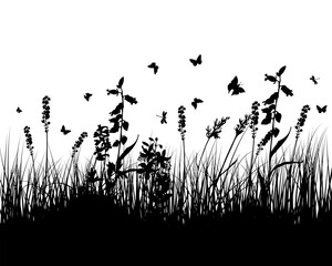 Poster - Vector grass silhouettes background. All objects are separated.