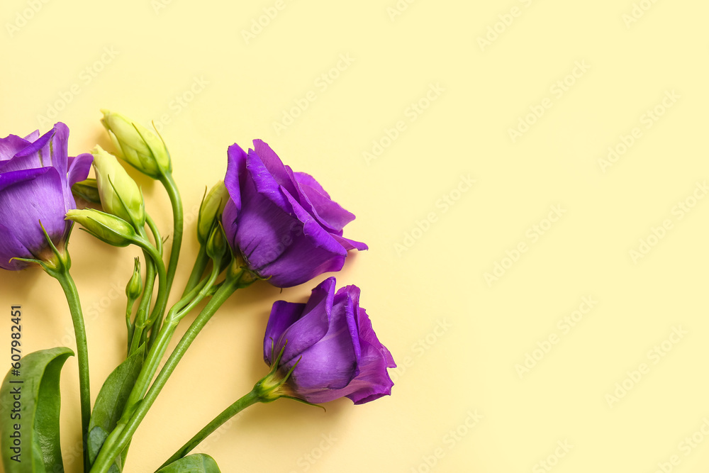 Eustoma flowers on beige background